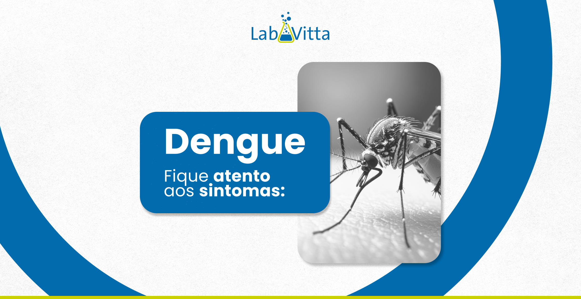 Dengue: fique atento aos sintomas